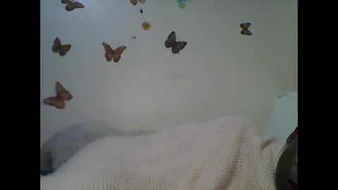 Ann online show from 11/22/25, 03:49