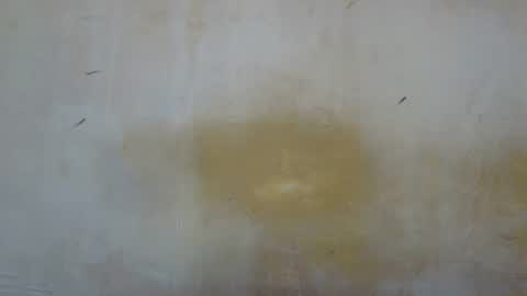 sexy_candy9 online show from 11/12/25, 08:59