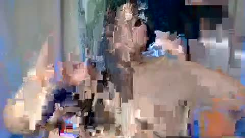Snapshot of sexy_devotion chatting on 02/17/25, 07:47 ALFREA online show from 02/17/25, 07:47