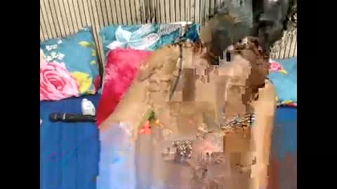 sexy_eva42xxx online show from 05/10/26, 04:23