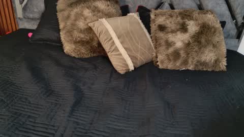 Dafne online show from 04/06/26, 10:49