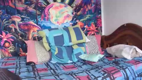 Mike online show from 01/14/26, 04:56