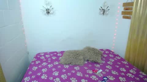 Snapshot of sexykata_of chatting on 06/27/26, 11:32 Kata sexy online show from 06/27/26, 11:32