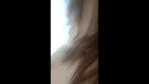 ARIAVALENTINA online show from 03/17/26, 07:23