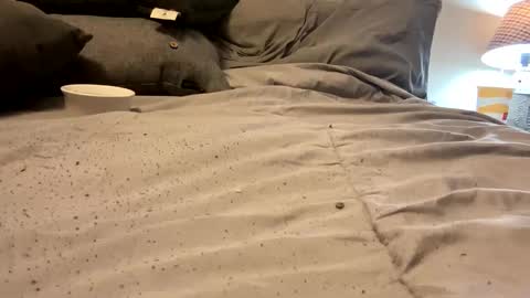 FunCpl4u online show from 03/11/25, 09:15