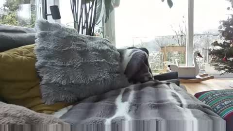 Snapshot of sexylover81ch chatting on 12/21/25, 11:28 sexylover81ch online show from 12/21/25, 11:28