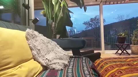 Snapshot of sexylover81ch chatting on 04/12/26, 06:13 sexylover81ch online show from 04/12/26, 06:13