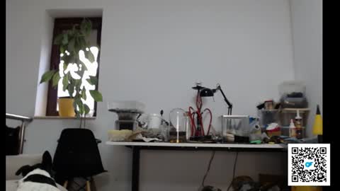 Snapshot of sexymuscle26 chatting on 02/04/25, 02:32 Adrian online show from 02/04/25, 02:32
