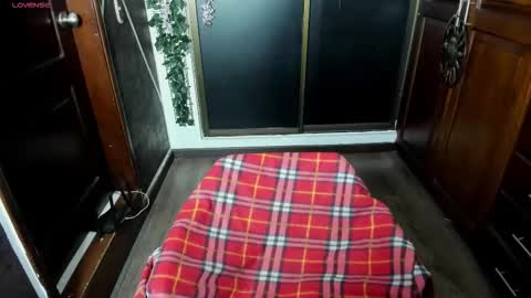 Snapshot of sexynaf chatting on 11/19/25, 08:31 N A F online show from 11/19/25, 08:31