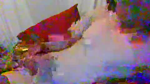 sexysavagecouple530 online show from 04/07/26, 09:54