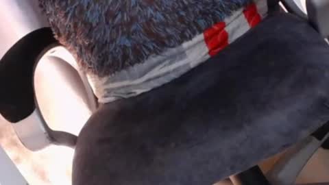    online show from 02/07/25, 05:10