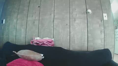 Snapshot of sexystripper69 chatting on 02/19/25, 10:09 sexystripper69 online show from 02/19/25, 10:09