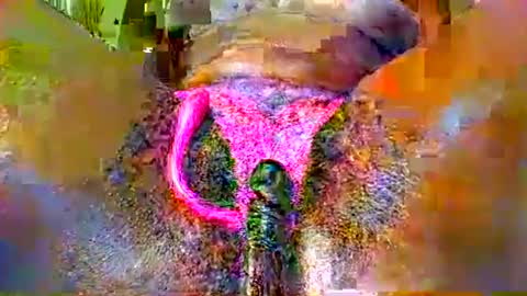 sexyy_pussy4147 online show from 05/13/26, 09:06