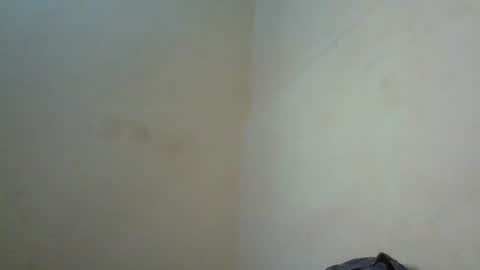 Shantel online show from 07/29/26, 10:24