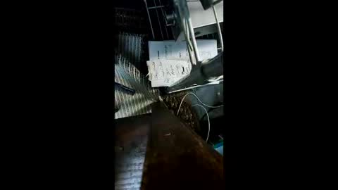 shagz2much online show from 12/22/24, 09:00