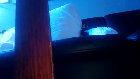 shagz2much online show from 01/07/25, 10:41