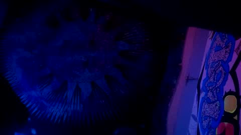 shagz2much online show from 01/27/25, 11:54