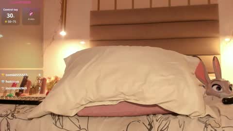 Snapshot of shaidy_scott chatting on 12/18/25, 07:47 shaidy_scott online show from 12/18/25, 07:47