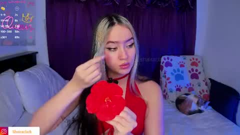 Snapshot of shairaclark_ chatting on 07/22/26, 03:09 Shaira Clark online show from 07/22/26, 03:09