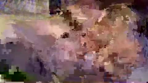 shapelyhelm1 online show from 02/21/25, 10:39