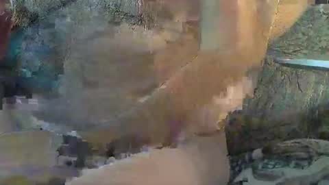 Snapshot of sharkey644 chatting on 11/11/25, 04:40 Sharkey644 online show from 11/11/25, 04:40