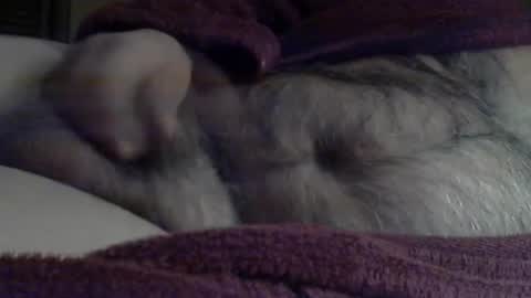 Sharkey644 online show from 03/03/26, 09:04