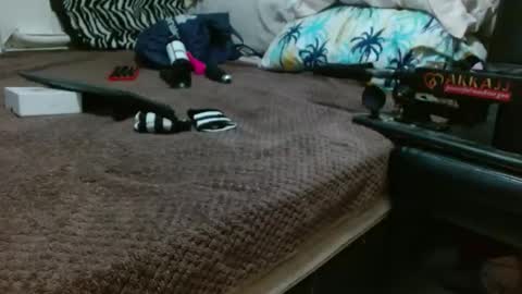 Snapshot of sharlot03 chatting on 02/12/25, 10:56 sharlot03 online show from 02/12/25, 10:56