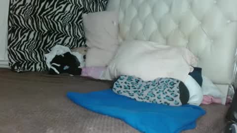 Snapshot of sharlot03 chatting on 03/11/25, 12:28 sharlot03 online show from 03/11/25, 12:28