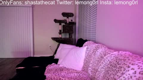 Snapshot of shastathecat chatting on 12/15/24, 03:56 Shasta online show from 12/15/24, 03:56