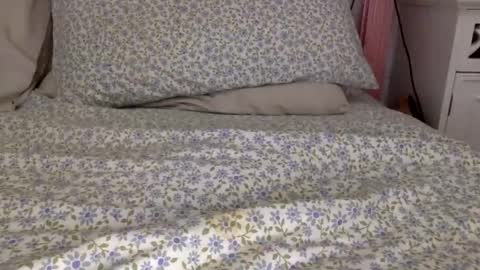 shavednsw online show from 03/28/26, 08:58