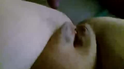 shay6371 online show from 11/28/25, 07:55