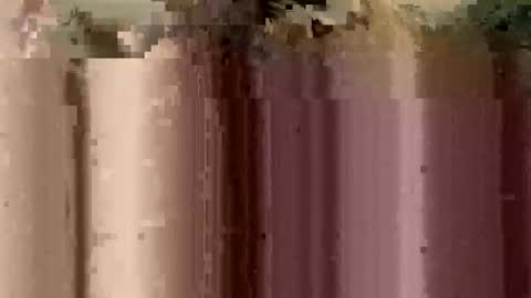 Snapshot of sheablo33 chatting on 12/17/25, 02:39 sheablo33 online show from 12/17/25, 02:39