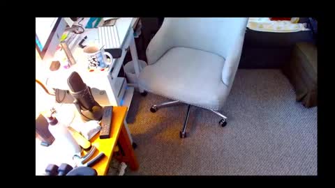 Shelaacd online show from 10/16/25, 12:39