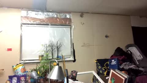 Snapshot of shelbybaby01 chatting on 03/10/25, 11:42 Shelby holes online show from 03/10/25, 11:42