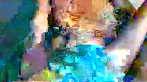 shelly online show from 05/24/26, 09:09