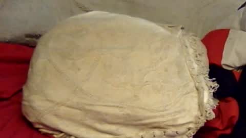 sherbearxrayghost online show from 06/15/26, 01:57
