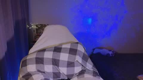 Sheyli online show from 02/01/26, 05:11