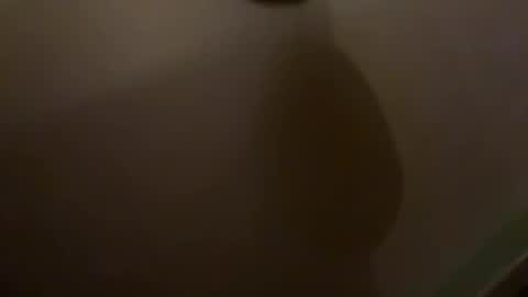 Snapshot of shida109 chatting on 11/17/25, 08:47 shida109 online show from 11/17/25, 08:47