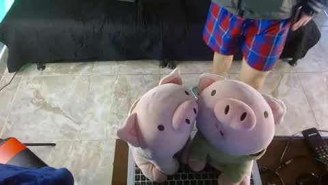  .. shinobi .. online show from 01/24/25, 03:55