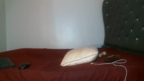 Shi-ro online show from 02/17/26, 08:15