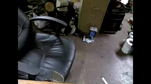 Snapshot of shoani chatting on 11/08/25, 07:41 Shoani online show from 11/08/25, 07:41