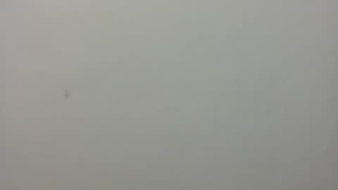 show_on_for_you online show from 03/24/26, 09:09