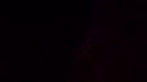 showstper online show from 11/13/25, 04:22