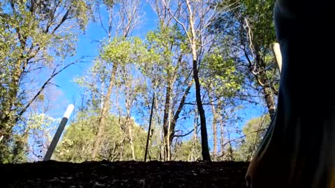 Snapshot of shy_college_girl chatting on 01/11/25, 11:13 Aurora Wolfe Shy College Girl Top 16 of all OF Creators online show from 01/11/25, 11:13