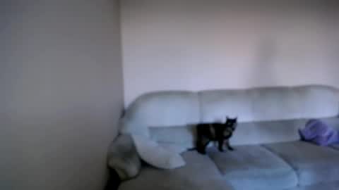 shy_sabrina_ online show from 04/26/26, 03:53