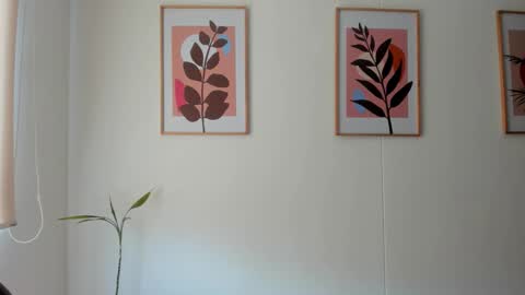 Snapshot of shylittlebunny chatting on 02/11/26, 02:33 shylittlebunny online show from 02/11/26, 02:33