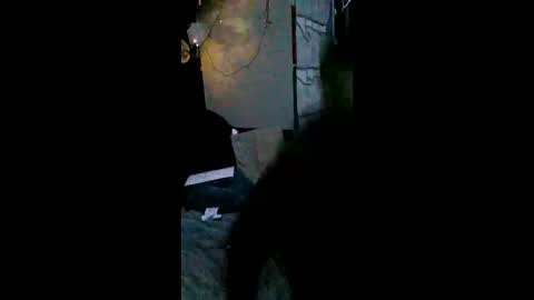 shylom online show from 02/15/26, 05:26