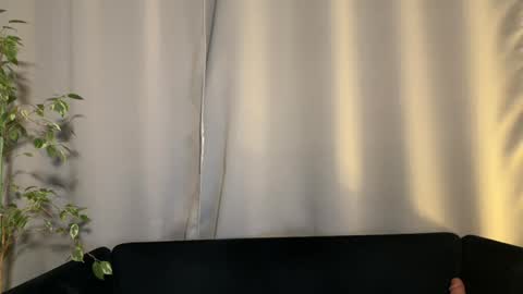 Amelia online show from 02/02/25, 07:14