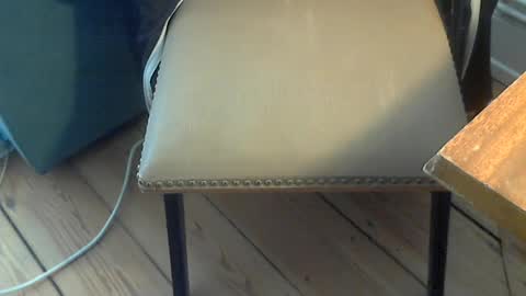 Seba online show from 06/19/26, 09:02