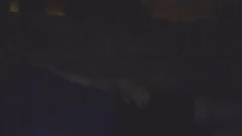 Bill online show from 02/11/26, 08:19